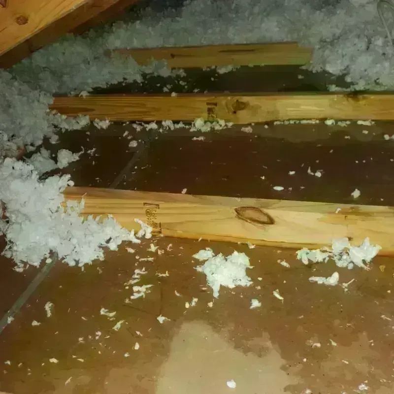 Attic Water Damage in Richlands, NC